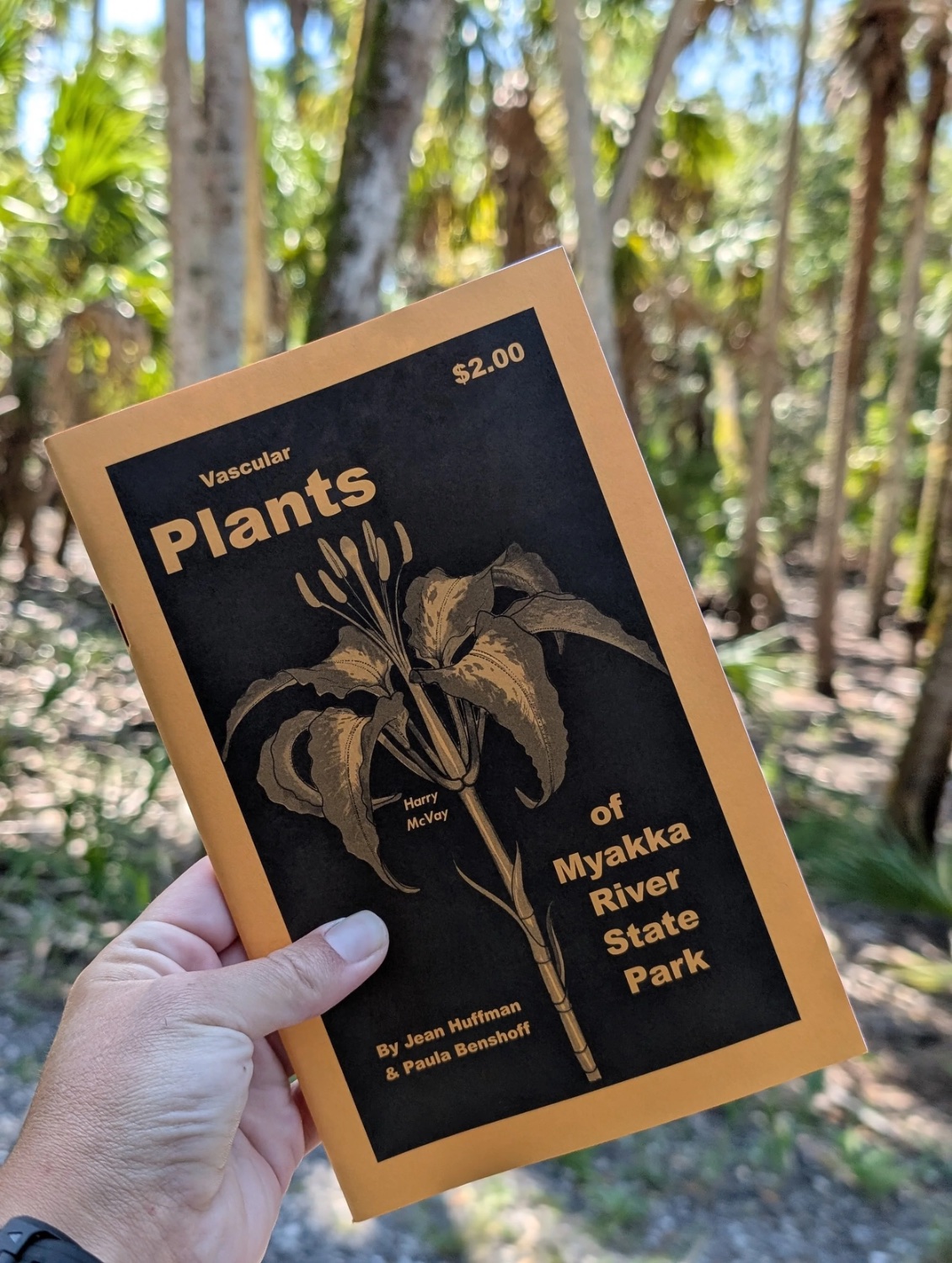 A vintage field guide to the vascular plants of a state park, held up in a palm forest